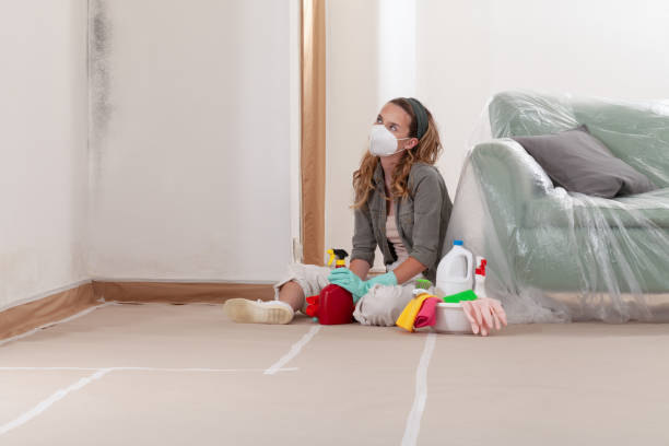 Reliable Mold Removal contractor in Pasadena, TX by WQB Mold Removal